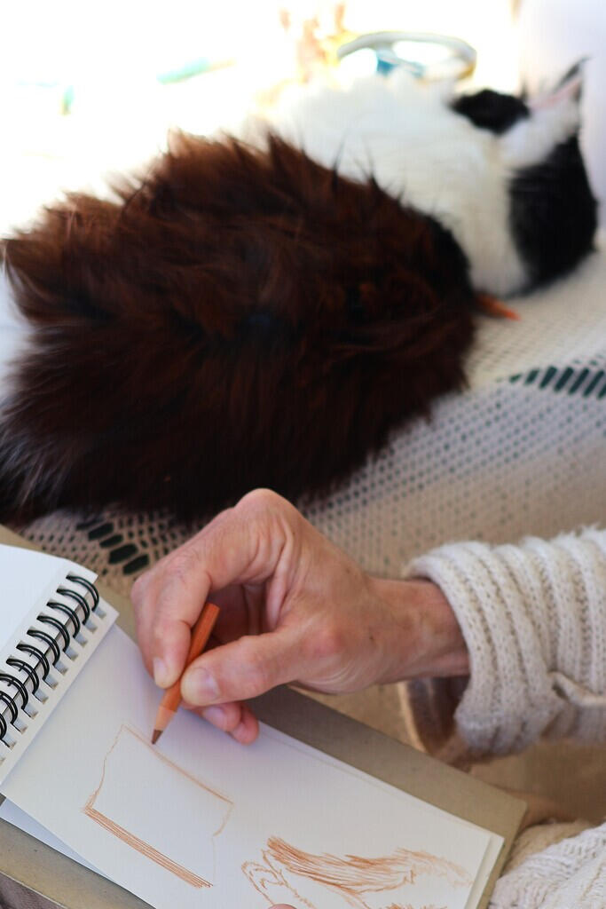 High-angle view of the artist drawing a fine-line illustration with a pencil in the art album, while the cat sits nearby on the terrace studio.
