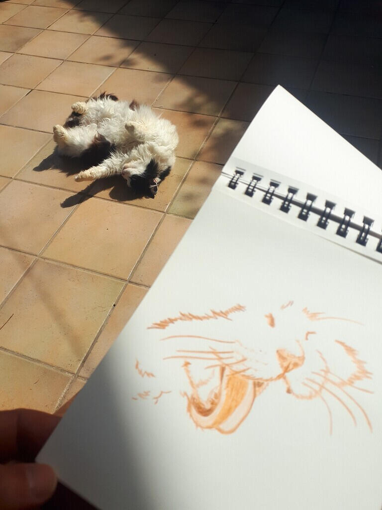 Close-up of the artist's hand holding an open art album featuring a cat illustration, with the cat, sitting softly in the background on the open-air terrace in Forio.
